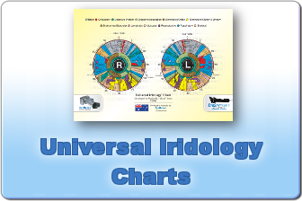 Iridology Chart Overlay